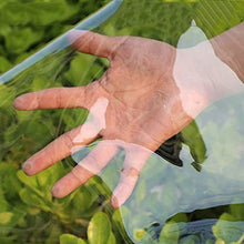 Heavy Duty Waterproof PVC Transparent Tarpaulin Clear Vinyl Tarp Cover,0.35mm Moisturizing Awning Canopy Patio Enclosure,Flower-Plant Leaf Covered Rainproof,Clear_1.8x3m/5.4x9ft (Clear 3x3m/9x9ft)