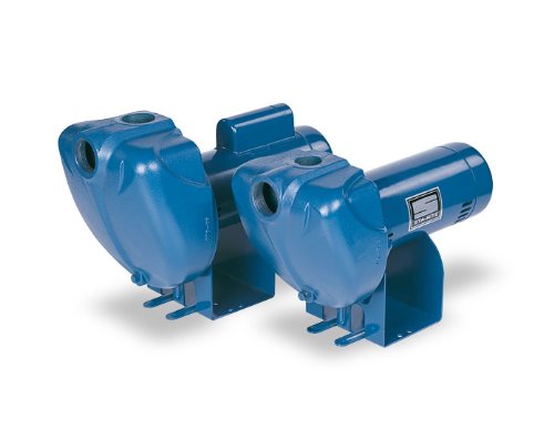 Pentair Self Priming High Head Centrifugal Pool and Spa Pump 1-1/2 HP