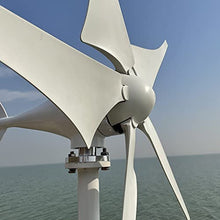 NINILADY New Arrivel Low Noise 600W 12V 24V 48V Wind Turbine 5 Blades with MPPT Controller Wind Generator for Home Free Energy (24v with Controller)