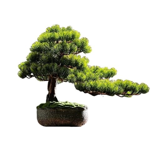 YXIANG56Q Fake Plants Entrance TV Cabinet Office Soft Living Room Decorations Zen Simulation Welcome Pine Bonsai Ornaments Bonsai Tree