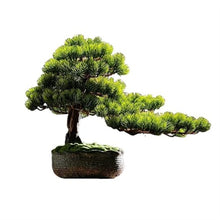 YXIANG56Q Fake Plants Entrance TV Cabinet Office Soft Living Room Decorations Zen Simulation Welcome Pine Bonsai Ornaments Bonsai Tree