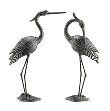 SPI Marshland Royals Garden Sculpt Multicolored