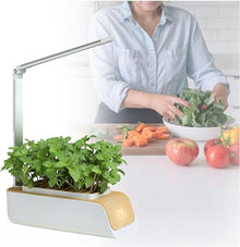 BTURYT Hydroponic Systems, Interior Plants Cultivation Lights, Without Seasonal Restrictions, Adjustable Height, Interior Gardening Kit, Suitable for Seedlings/Seeds/Succulents