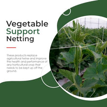 Hortomallas 6.5 Feet by 4920-Feet Professional Grade Vegetable Support Trellis Netting Roll/Scrog Net Roll, (79" x 4920' / 2m x 1500m) (mesh 5.9"x6.7" / 15cm x 17cm)