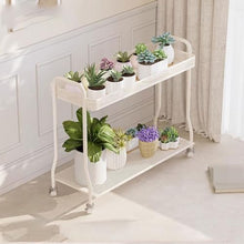 IBONSON Multi Tiered Plant Stand Indoor Living Room Floor-Standing Double-Layer Iron Flower Rack Indoor Movable Flower Rack Storage Flower Pot Rack Corner Outdoor Plant Stand