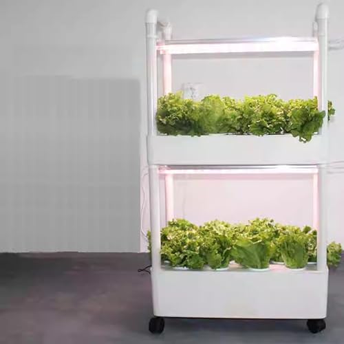 MTSYXYM Herb Garden kit,hydroponic Growing Kits & Systems,Hydroponics Tower with LED Grow Light,Indoor Garden hydroponic Growing System,for Herbs, Fruits and Vegetables. (Size : Double Layer)