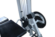 French Fitness Shasta Prone Leg Curl / Leg Extension (New)