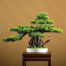 YXIANG56Q Fake Plants Simulation Fortune Tree Bonsai Welcome Pine Tree Ornaments Entrance Table Living Room Office Hotel Soft Decorations Bonsai Tree