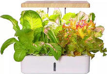 FLTRGO Indoor Gardening System,Aeroponics Growing Kit,Indoor Garden Hydroponic Growing System,hydroponic Indoor Garden,with Hydrating Pump, Adapter, Net Pots, Timer.
