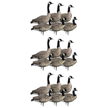 Avian-X AXP 6 Piece Goose Decoy Set with Rugged Steel Base