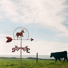 Donkey Roofs Weathervane Iron Art Decor, Creative Animal Wind Vane Wind Direction Indicator for Outdoor Yard Lawns Gardens Backyards Sheds Ornament Measuring Tool
