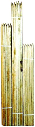 Wooden Garden Stakes - pack/25