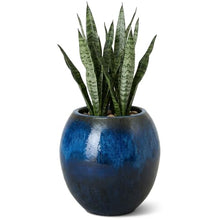 Emissary Home and Garden 16in. L x 16in. H Blue Stoneware Spherical Planter with High-fire Treatment (Set of 1)