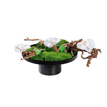 FRANCES Fake Plants Simulation Moss Green Plant Chinese Bonsai Flower Tea Table Tea Room Decoration Moss Green Plant Bonsai Flower Art Simulation Bonsai Tree