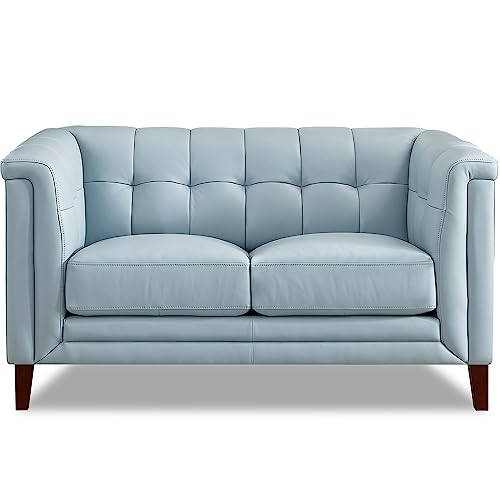Hydeline Arvo Top Grain Leather Loveseat, Spa Blue