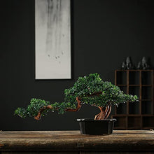 YXIANG56Q Fake Plants 24'' Large Artificial Bonsai Tree in Ceramic Pot, Potted Fake Greenery Plants Decoration for Home Office Living Room Bonsai Tree