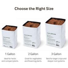 PlantBest 2 Gallon Coconut Coir Open-Top Grow Bag Planter – Pre-Filled, Buffered, UV-Resistant Grow Bags for Indoor and Outdoor Cultivation - 45 Pack