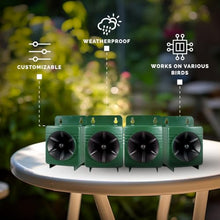 Ultrason X, 110v