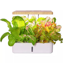Gerrit Indoor Gardening System,Aeroponics Growing Kit,Indoor Garden Hydroponic Growing System,hydroponic Indoor Garden,with Hydrating Pump, Adapter, Net Pots, Timer.