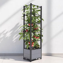 Raised Garden Bed with Trellis, Planter Box with Drainage, Vertical Garden Planter for Outdoor Growing Climbing Plants, Vegetables, Flowers, Fruits