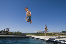 S.R. Smith 66-209-266S24 Fibre-Dive Replacement Diving Board with Clear Tread, 6-Feet, Gray Granite
