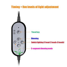 1-4 Heads LED Grow Light, Full Spectrum Clip Plant Growing Lamp, 5-Segment Dimming Mode, 3 Fill Light Conversion Modes, 4/8/12H Timer, Idea for Small Plant Light (Size : 2pcs) ()