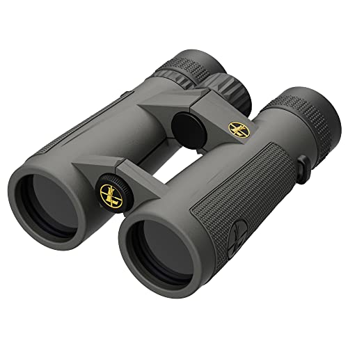 Leupold BX-5 Santiam HD Binoculars 10x42mm Shadow Gray