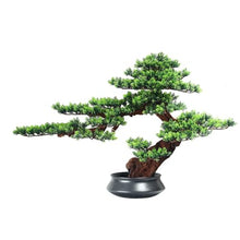 QWERAXZG Simulation of Green Plant Welcome Pine Bonsai Porch Living Room Tea Interior Decoration