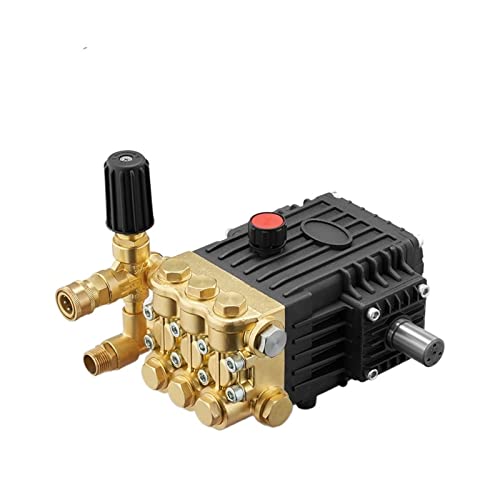wrtgerht Mini Power Small Pump Electric Power High Pressure Pumps 250BAR 3600PSI Water Booster Pump triplex Plunger Pump