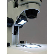 AmScope Professional Binocular Stereo Zoom Microscope White