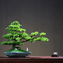 Bonsai Simulation Bonsai Tree Living Room Wigwam Landscaping Entryway Cabinet Decoration Ornaments Plant
