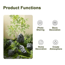 5 Pcs FRP Landscape Rocks, Realistic Texture, Lightweight Fake Rocks