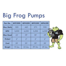 Anjon BFP5500 Big Frog Pump 5500 GPH Waterfall Pump