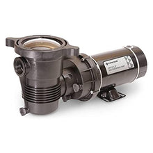 Pentair EC-PNCC075OE1160 Pool Pump Almond