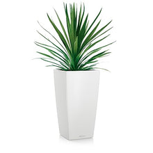 Lechuza 13150 Cubico Color 40 Self-Watering Planter for Indoor and Outdoor Use, 16" x 16" x 30", White