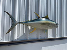 Mount This Fish Company 52" Yellowfin Tuna Full Mount Fish Replica Two Sided
