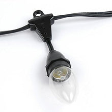 Novelty Lights 330 Feet Heavy Duty Light String, 264 Suspended E17 Sockets