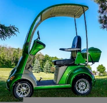 Generic Power Buggy Dx Electric Scooter 60V 700W Green