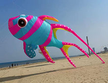 Yingfeida Colorful Soft Inflatable Cardinal Fish Kite Pendant Blue Pink