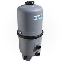 Waterway Crystal Water Cartridge Filter 525 sq ft