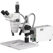 AmScope Professional Trinocular Stereo Zoom Microscope White