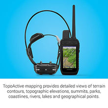 Garmin Alpha 200 Handheld Dog Tracker with TT15 Mini Device