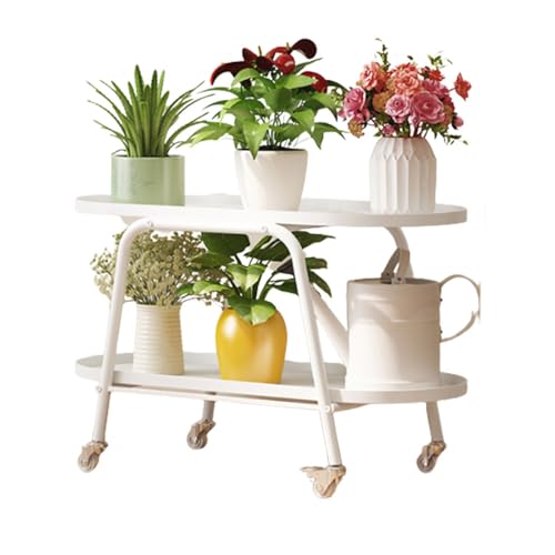 OJKJGYTF 2 Tier Metal Plant Stand Indoor Outdoor Plant Shelf Multi-Functional Shelf Plant Stands Modern Creative Flower Stands with Wheels Waterproof Display H