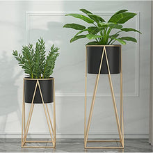 iumLeap 2-Pack Flower Stand,Living Room Iron Flowerpot Balcony Decorate Shelf,Hall Simple Succulent Plants Floor-Standing Rack Outdoor