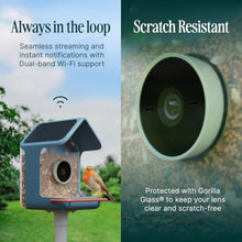Birdbuddy Home Smart Bird Feeder with Camera, AI Bird ID Dual Solar Panel