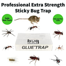 Bug Shield Sticky Glue Traps 12 Pack Glue Boards, Bulk Pack 50 Boxes / 600 Bug Traps. All Types of Incets, Spiders, Cockroaches, Ants, Cave Crickets, and More.Professional Strength Glue.