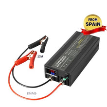 sujeniir 12V 50A Lifepo4 Charger 14.6V 12.8V Lithium Battery Charger 100-240V for Lifepo4 RV Battery Solar Battery Outdoor Power Charging(14.6V 50A Clip,EU Plug)