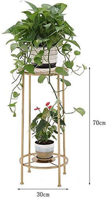 RWGOVLU Plant Stand Iron Art Outdoor Garden Floor-Standing Plant Stand Flower Stand Flower Pot Stand Flower Stand With 2 tiers Indoor Balcony Flower Stand