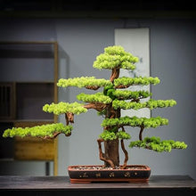 YXIANG56Q Fake Plants Indoor Green Plant Decoration Simulation Tree Living Room Entrance Fake Pine Tree Ornaments Landscaping High-Grade Bonsai Bonsai Tree