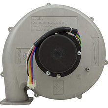 Pentair Blower Kit, MasterTemp 400/Max-E-Therm 400, NAT.